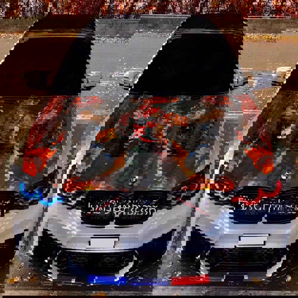 Akuma Street Fighter Itasha Car Vinyl Hood Wrap Decal Sticker