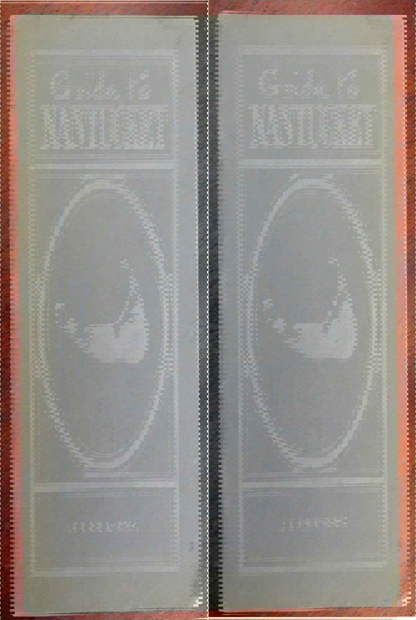 Nantucket Massachusetts Guide Book 1924 - J.H. Robinson Illustrated Local History