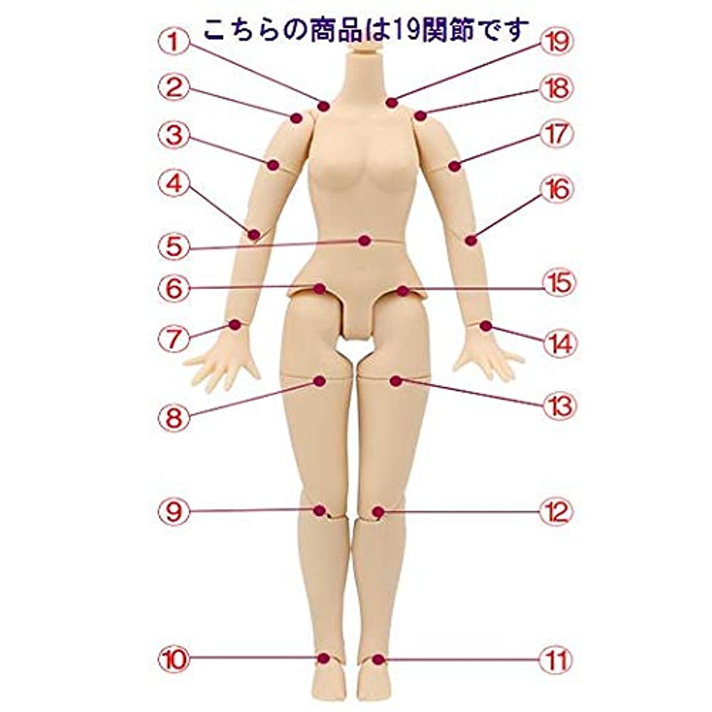 YR Earth S184 Eye Change Doll, 11.8 inches (30 cm), Type D