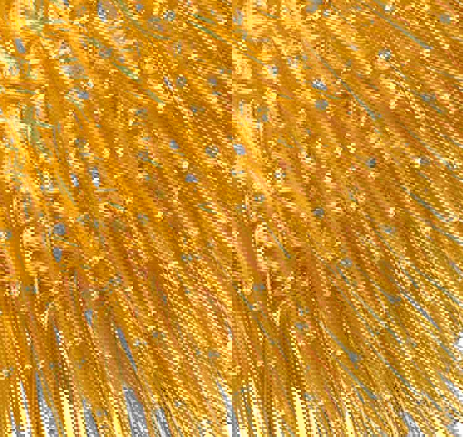 Urchin 1-Lt Pendant - Gold