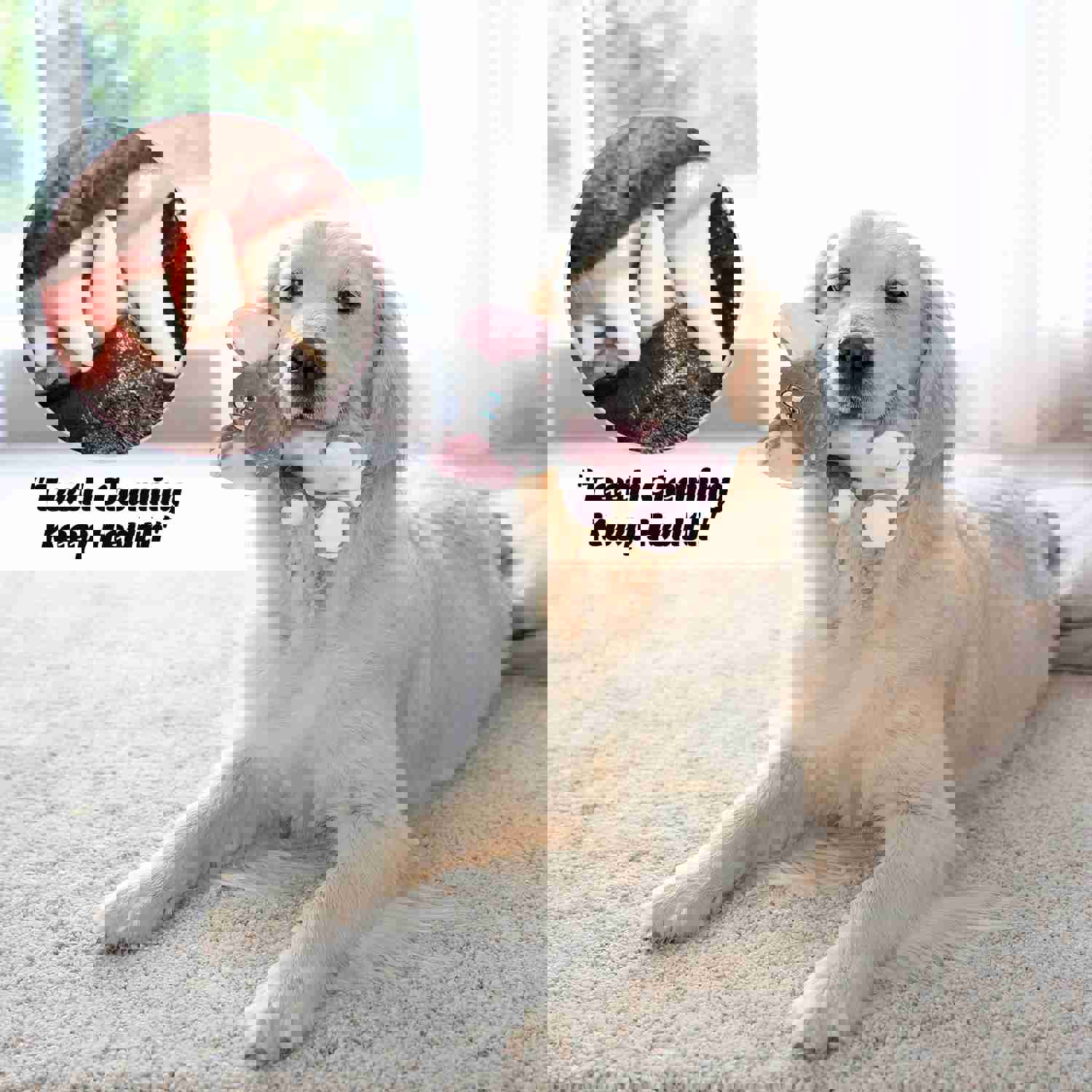 IOKHEIRA Indestructible Dog Plush Toys for Aggressive Chewers with Squeaky Sound and Crinkle Paper