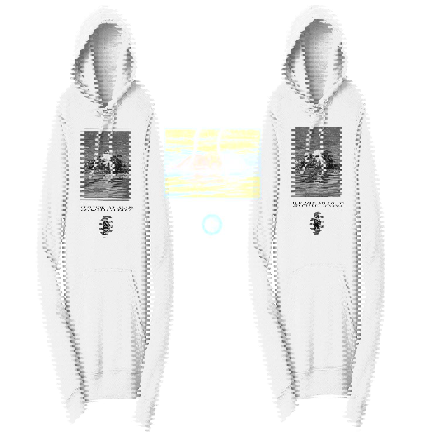 LRC Labs Unisex Hoodie Sweatshirt - 3 Colors Available