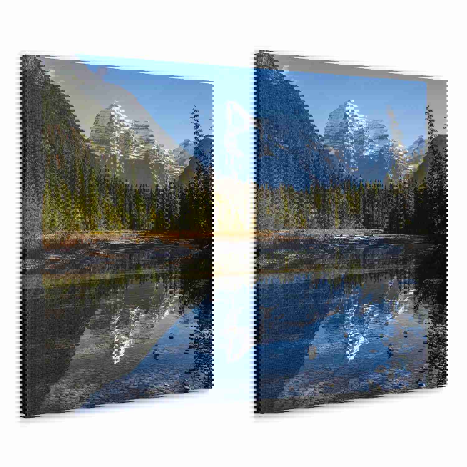 Mystic Forest Mountain Nature Wilderness Photography Canvas Wall Art