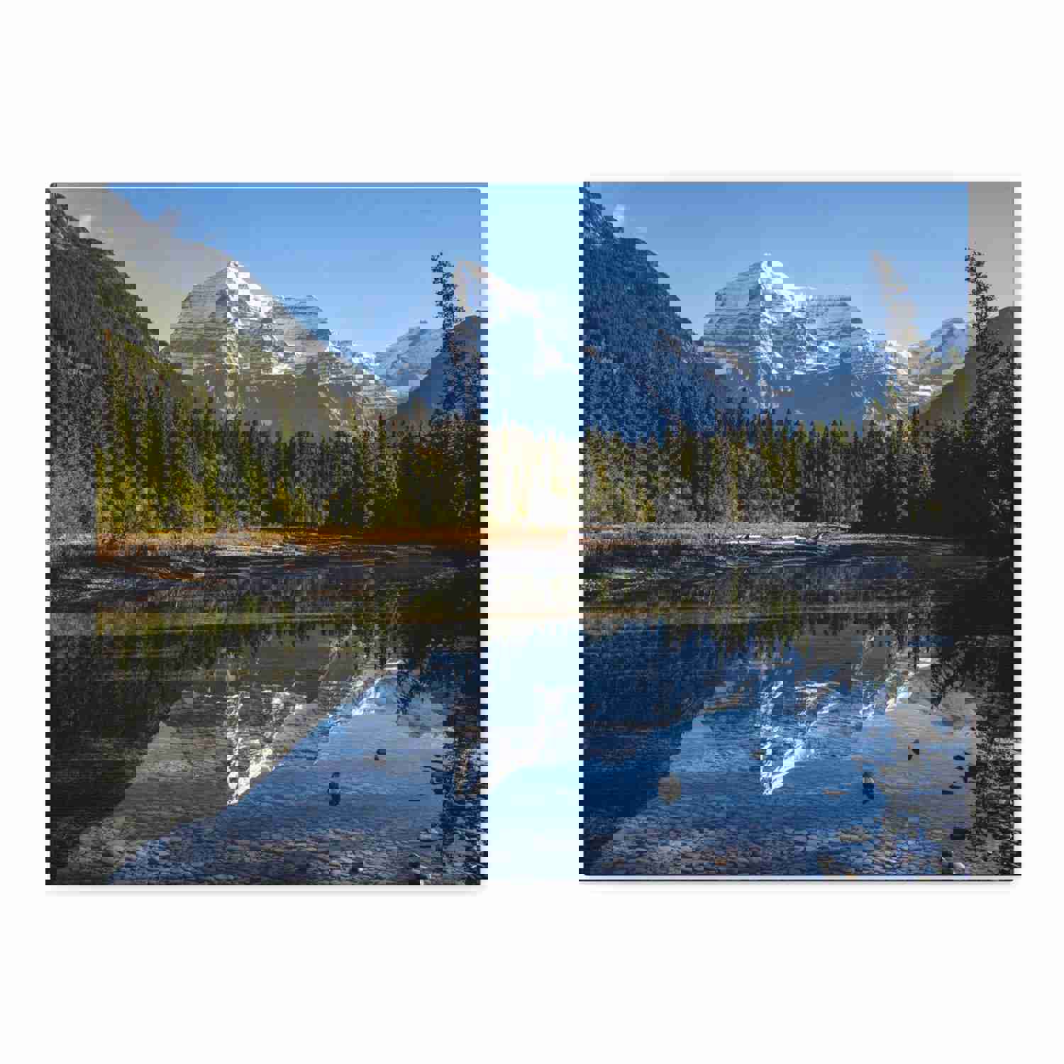 Mystic Forest Mountain Nature Wilderness Photography Canvas Wall Art