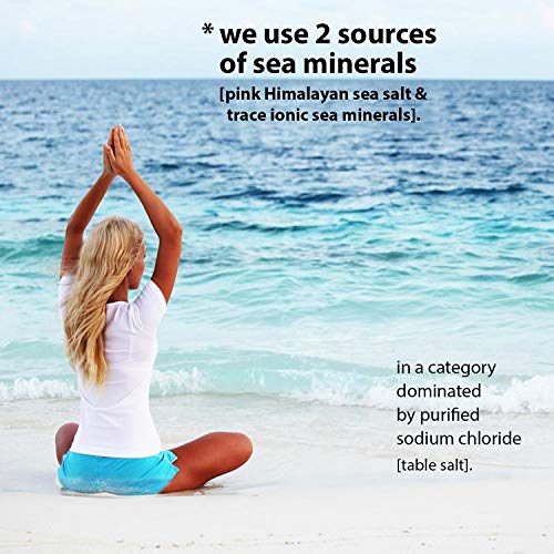 Superieur Electrolytes - Fresh Citrus Hydration Powder (70 Servings)