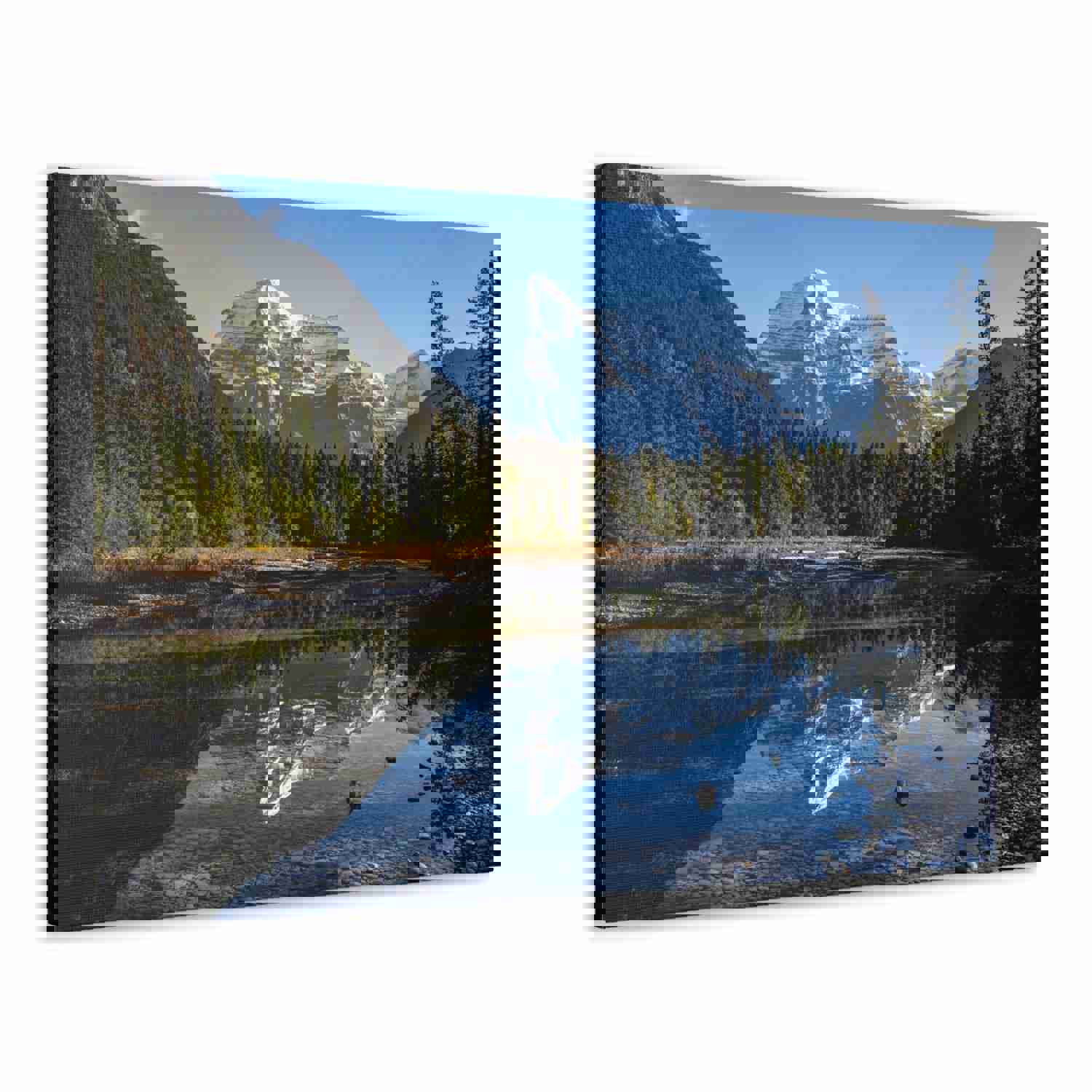 Mystic Forest Mountain Nature Wilderness Photography Canvas Wall Art