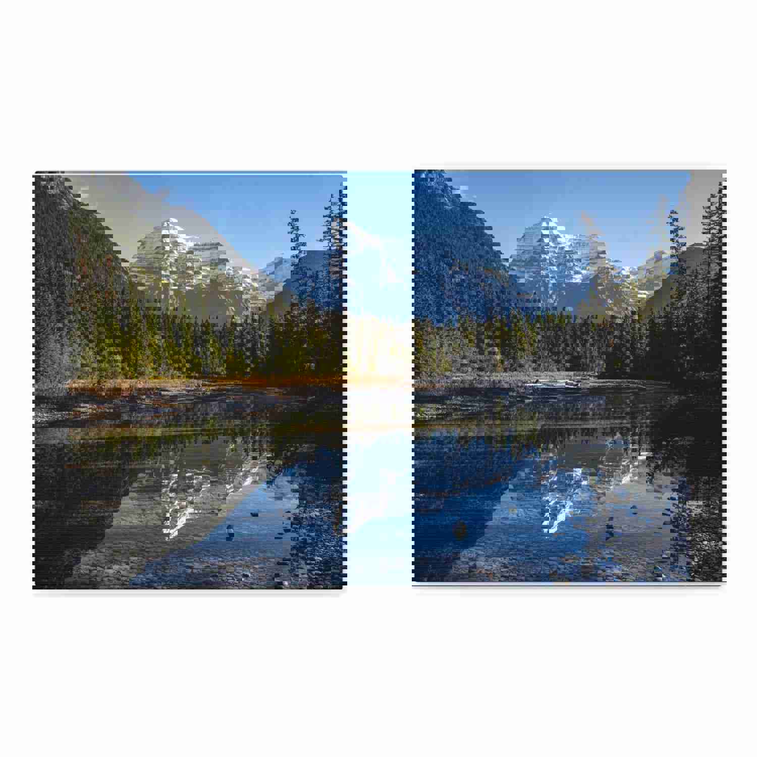 Mystic Forest Mountain Nature Wilderness Photography Canvas Wall Art