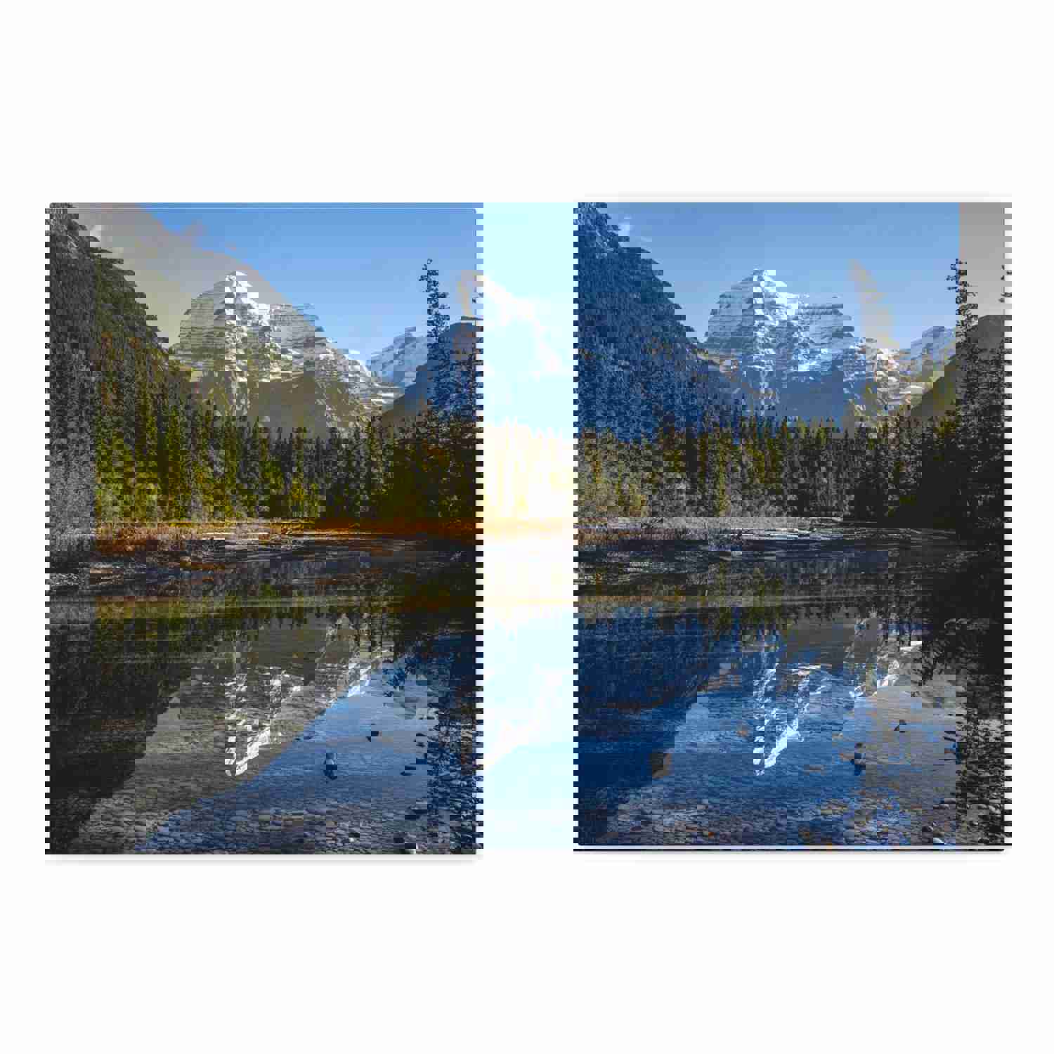 Mystic Forest Mountain Nature Wilderness Photography Canvas Wall Art