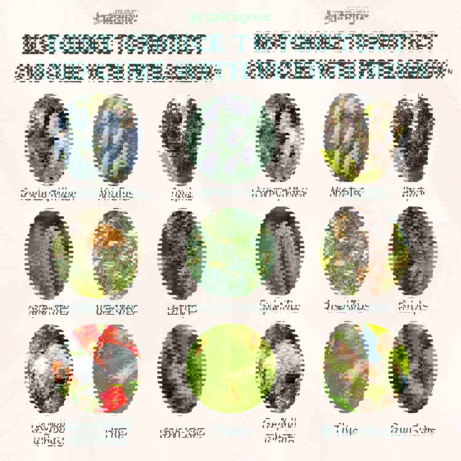 PetraGrow Crop Defender Leaf Guard Super Ready-to-Use Pesticide for Indoor Plants - 32oz