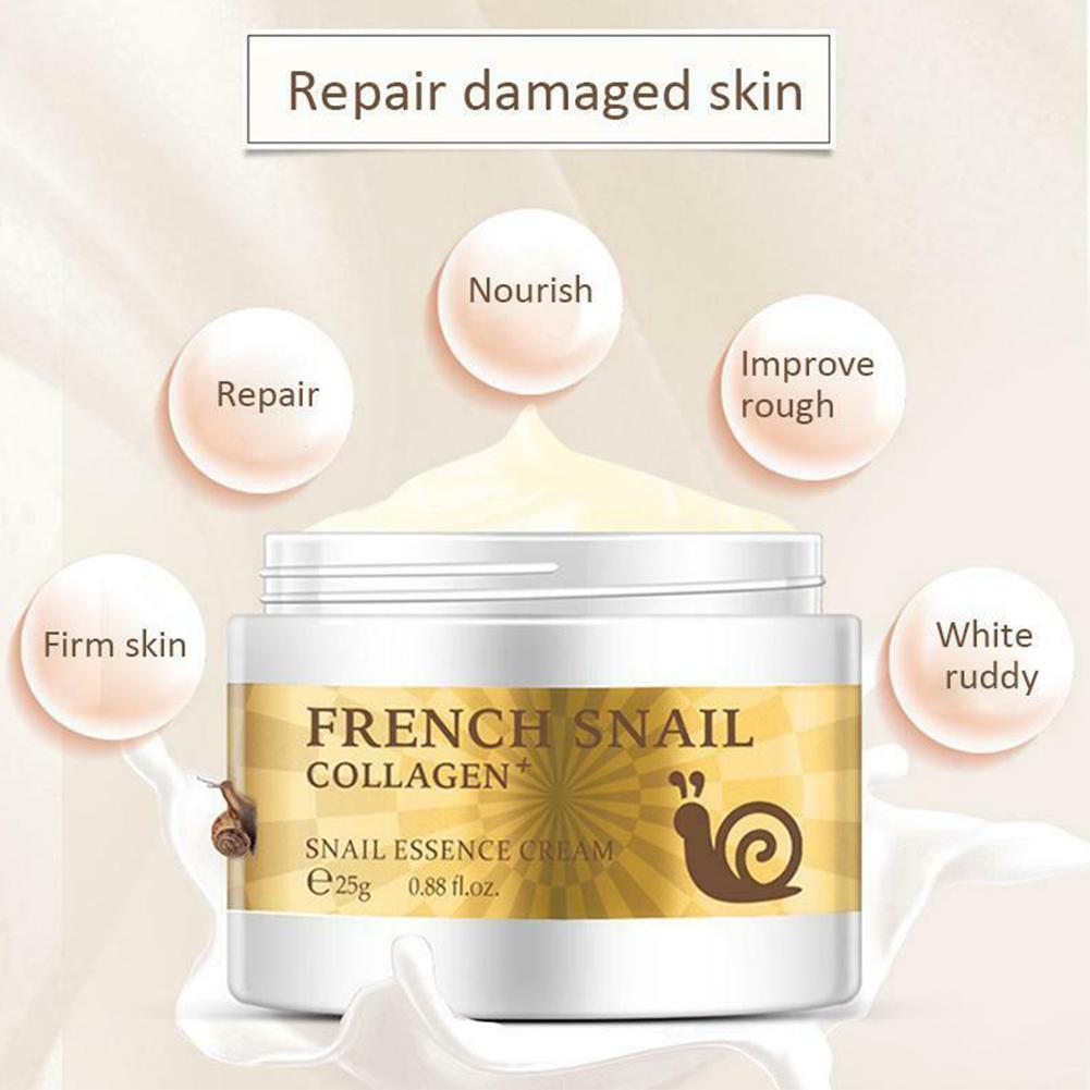 BREYLEE Snail Rejuvenating Face Cream with Hyaluronic Acid for Anti-Aging & Skin Nourishment