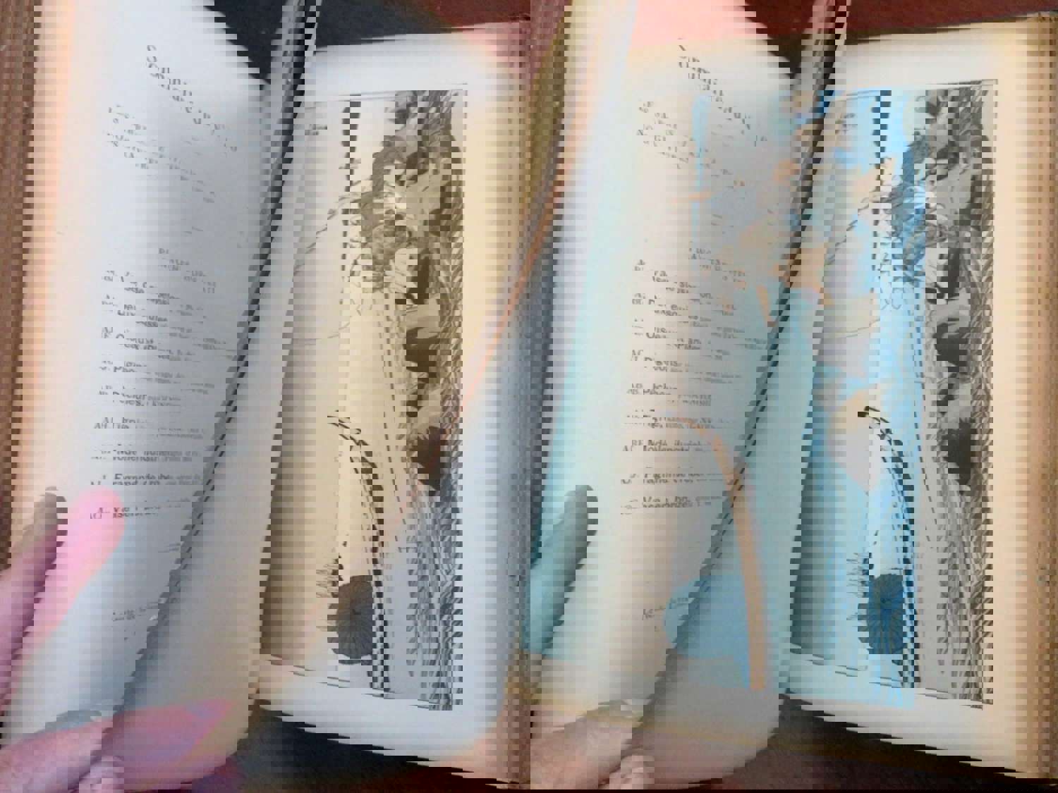 Artistic Japan Le Japon Artistique c. 1889 S Bing Leather Book with Color Plates