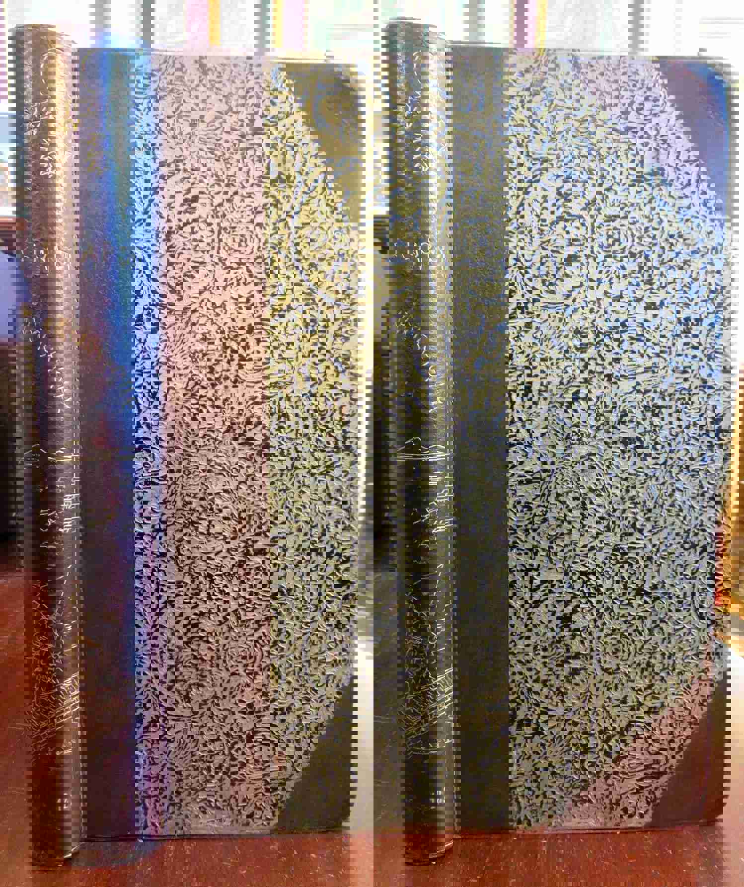 Artistic Japan Le Japon Artistique c. 1889 S Bing Leather Book with Color Plates