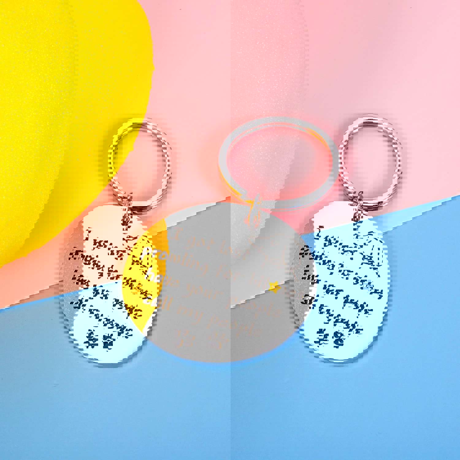 Funny Personalized Pet Tag for Dogs and Cats - Stainless Steel Collar Tag