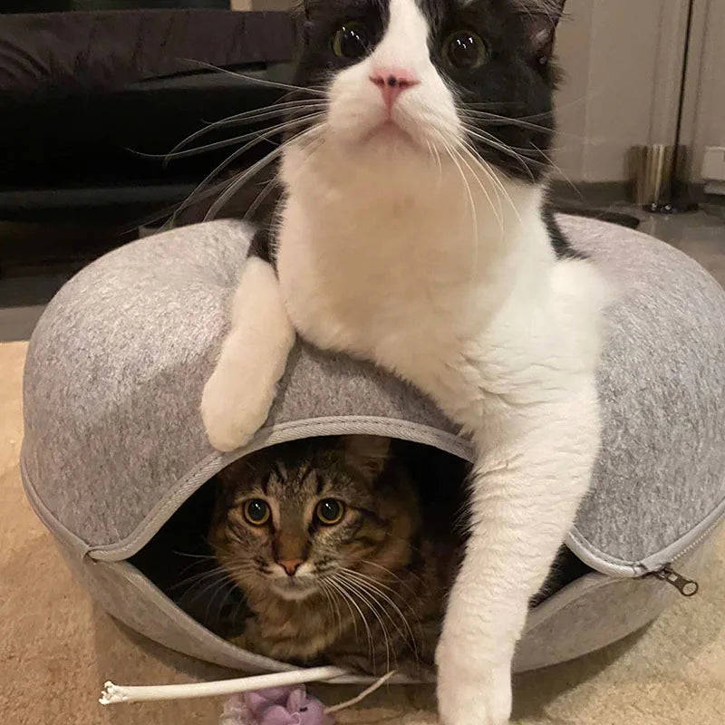 Donut Felt Cat Bed - Interactive Pet Toy and Cozy Rabbit Cave for Indoor Cats