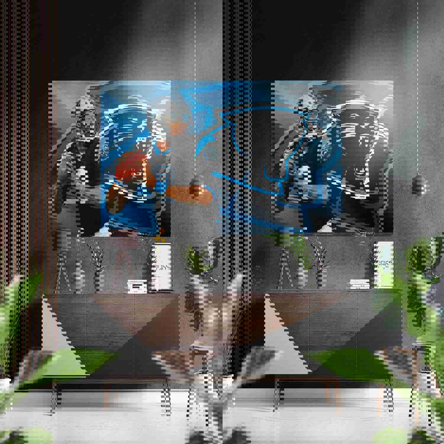 Carolina Panthers Brushed Aluminium Dibond Wall Art