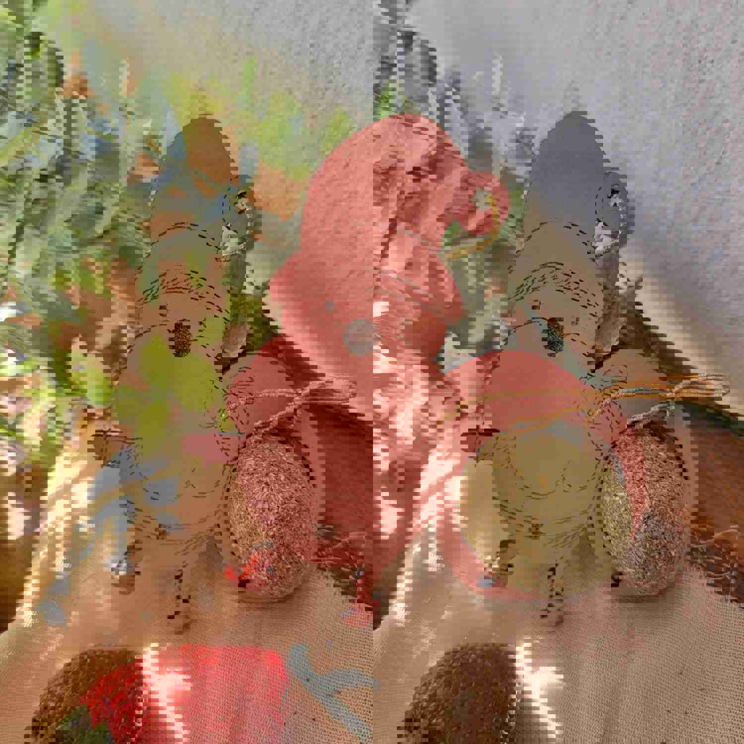 Small Animal Christmas Chew Toys Santa & His Gifts Ornament Set