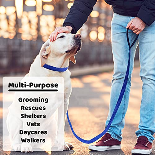 Downtown Pet Supply - 6ft Dog Kennel Slip Lead Leash (6 Pack)