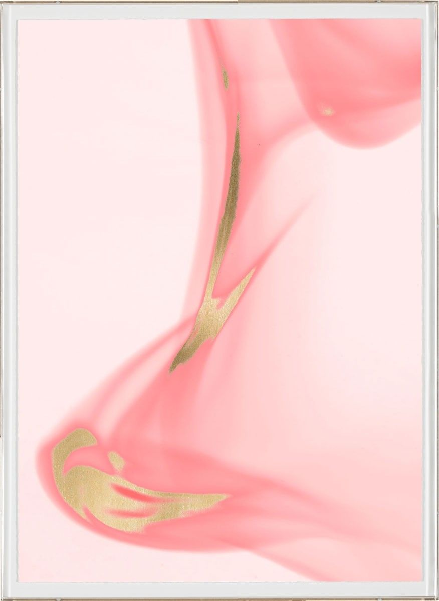 Natural Curiosities Prairie in Pink Art No. 3 - Gold Leaf Framed Fine Art Print