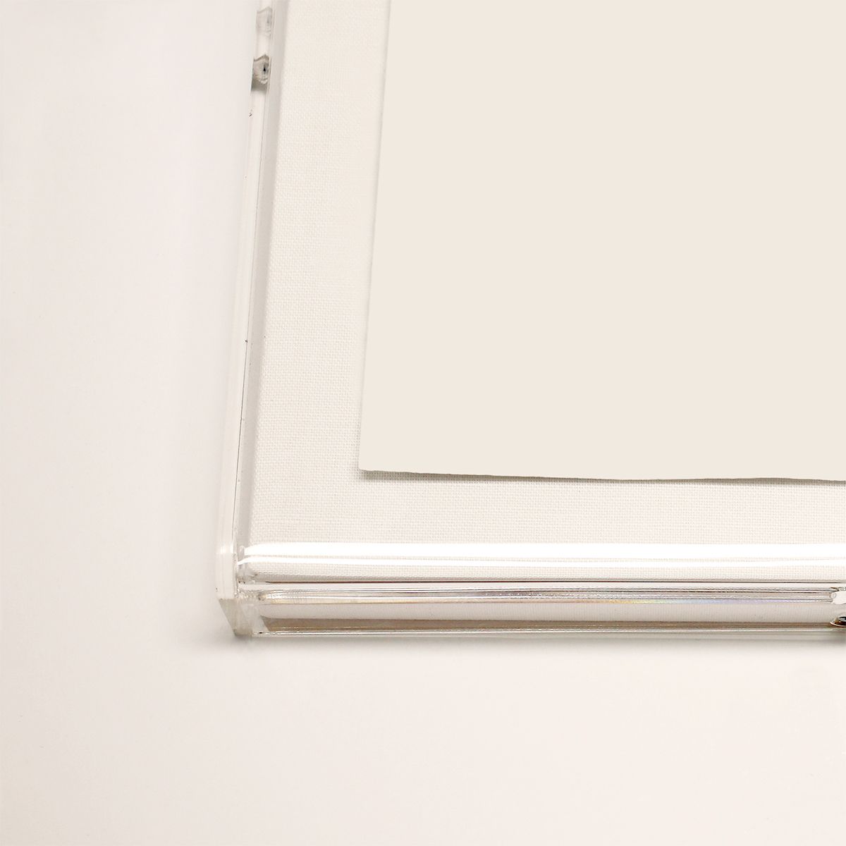 Natural Curiosities Prairie in Pink Art No. 3 - Gold Leaf Framed Fine Art Print