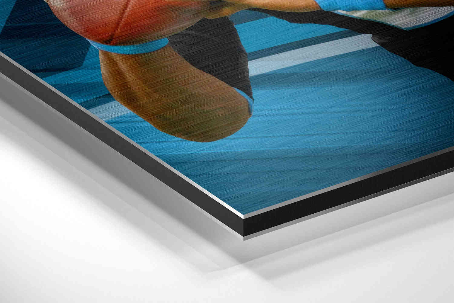 Carolina Panthers Brushed Aluminium Dibond Wall Art