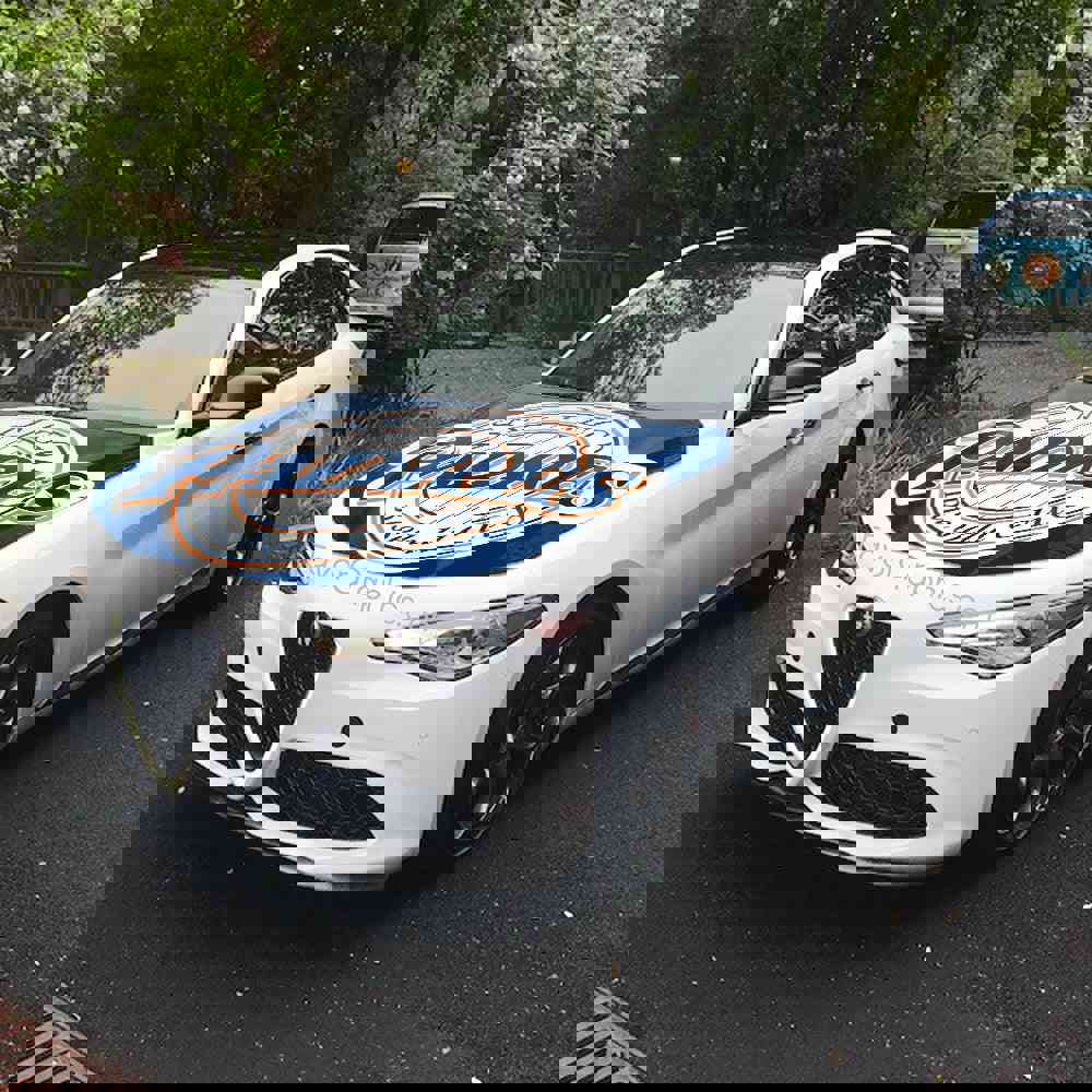 San Diego Padres Itasha Car Vinyl Hood Wrap Decal Sticker