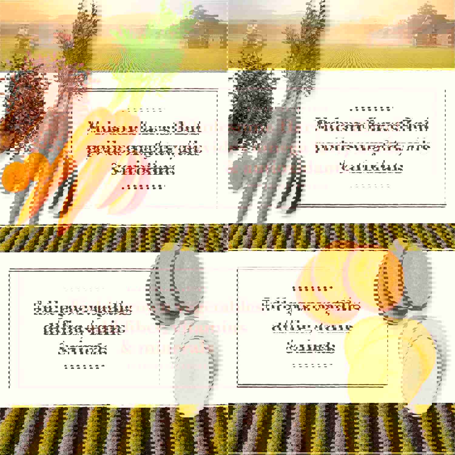 Whole Earth Farms Grain Free Recipe with Pork, Beef & Lamb Dry Dog Food, 25-lb Bag