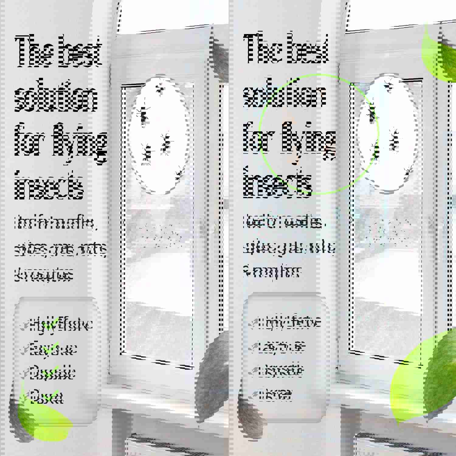 TechOrganics Clear Window Fly Traps - Pack of 30 for Indoor & Outdoor Use