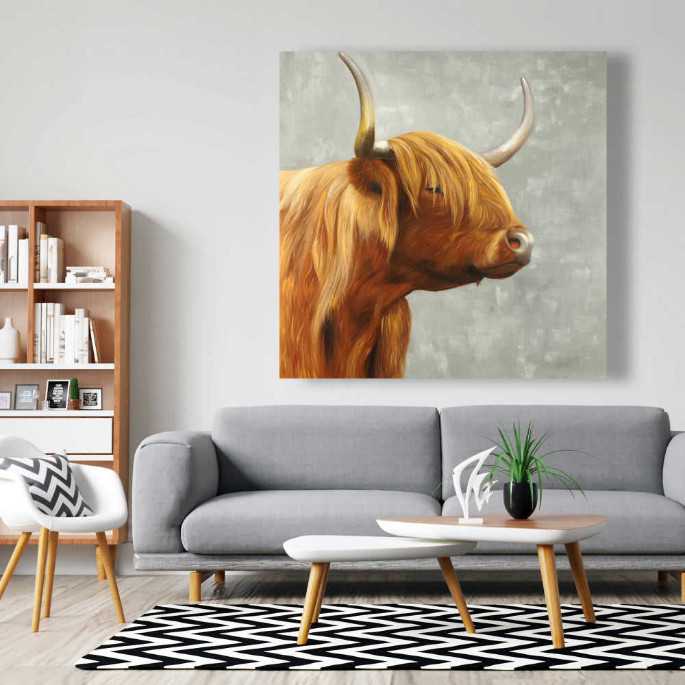 Beautiful Highland Cattle Fine Art Gallery Wrapped Canvas 36x36