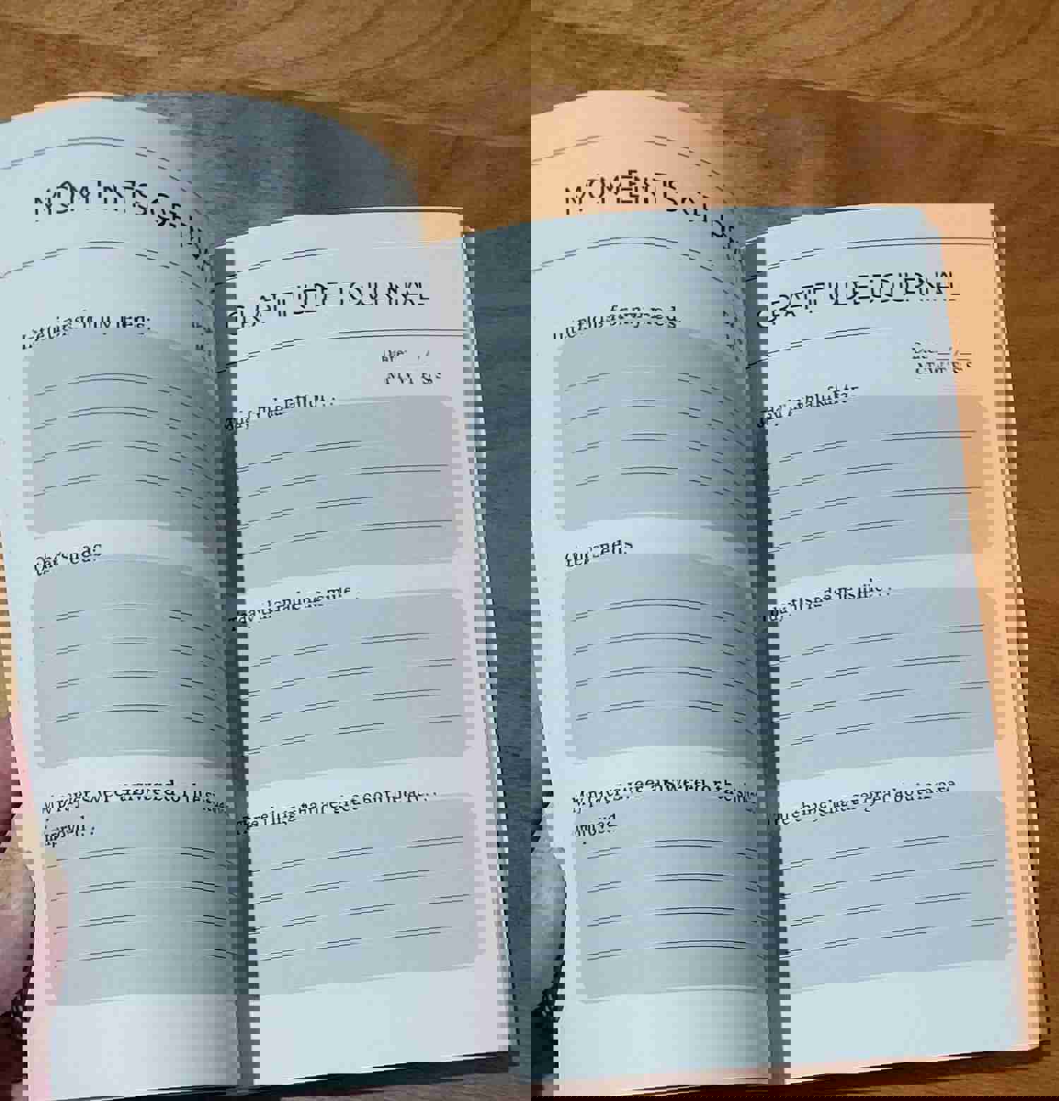 Faith-Based Daily Gratitude Journal with 3-Month Weekly Planner