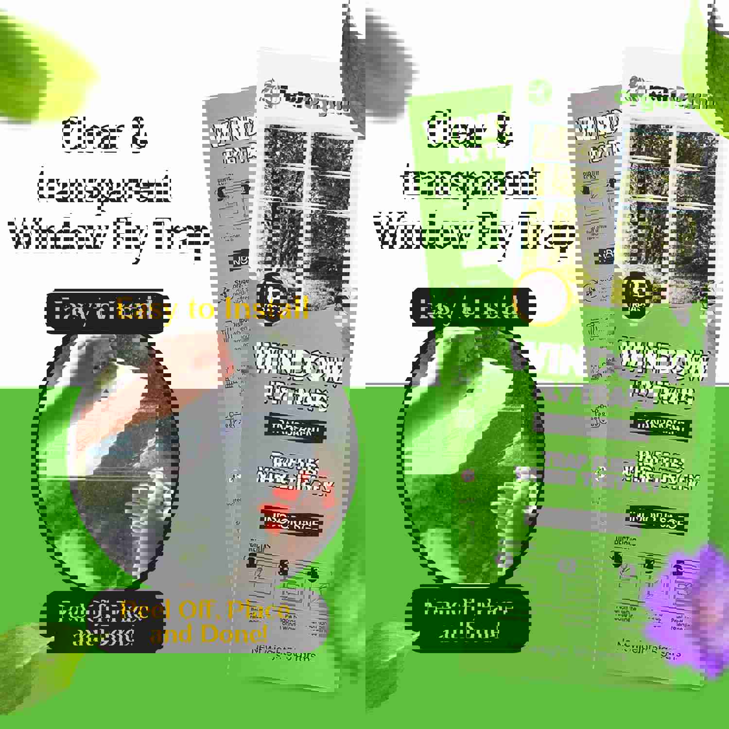 TechOrganics Clear Window Fly Traps - Pack of 30 for Indoor & Outdoor Use