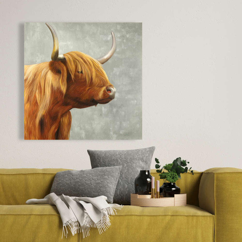 Beautiful Highland Cattle Fine Art Gallery Wrapped Canvas 36x36