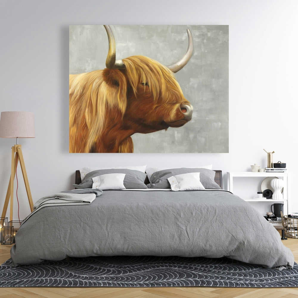 Beautiful Highland Cattle Fine Art Gallery Wrapped Canvas 36x36