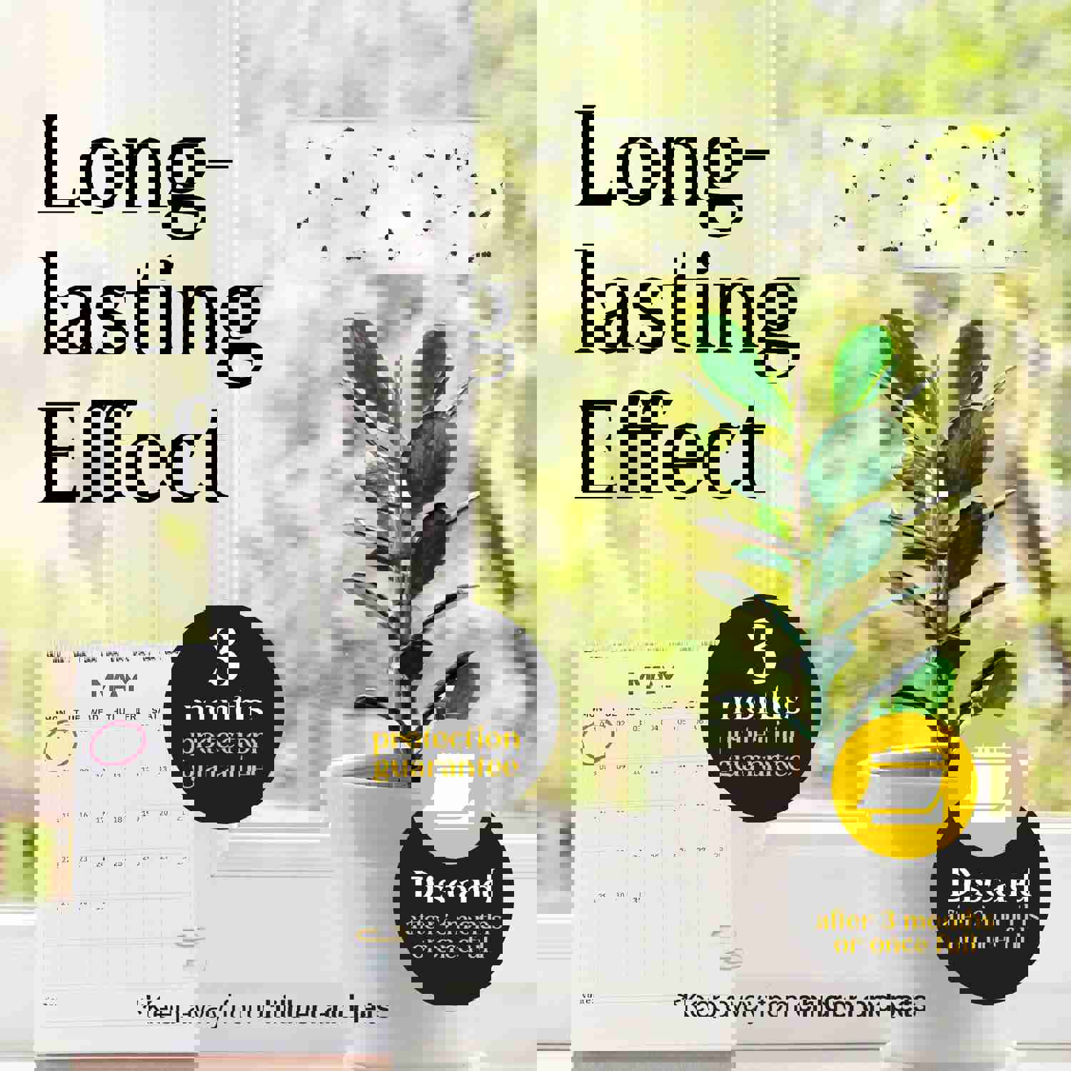 TechOrganics Clear Window Fly Traps - Pack of 30 for Indoor & Outdoor Use