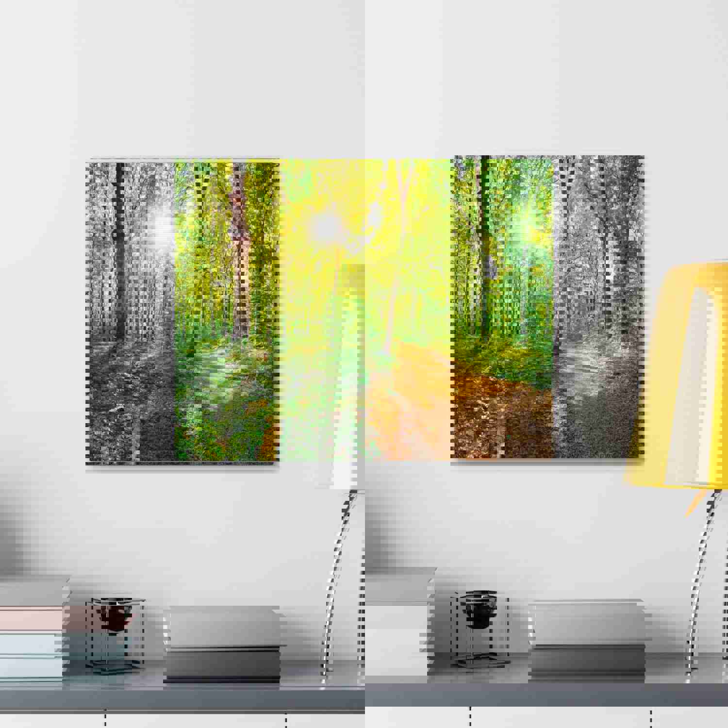 Green Forest Sunlight Nature Wilderness Photography Canvas Wall Art for Home Decor