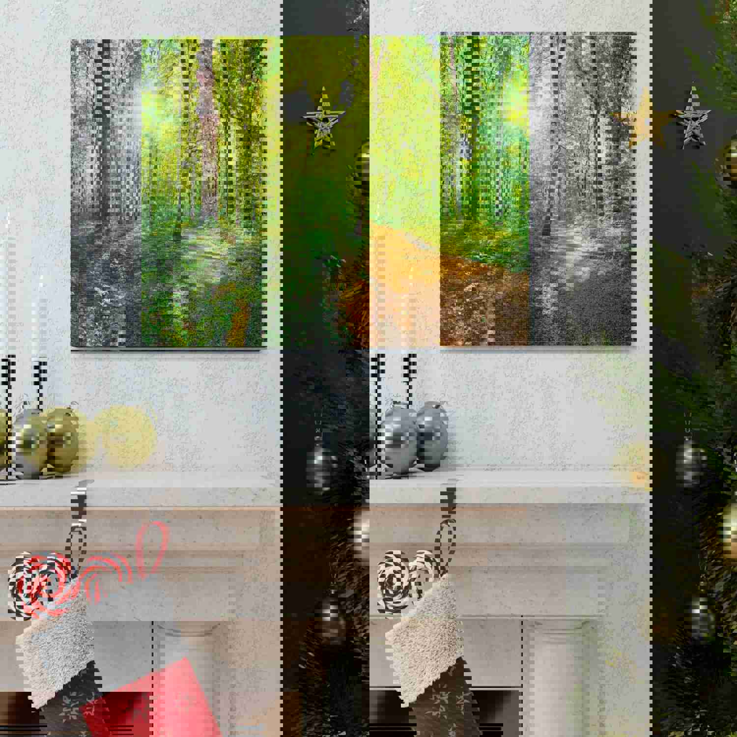 Green Forest Sunlight Nature Wilderness Photography Canvas Wall Art for Home Decor