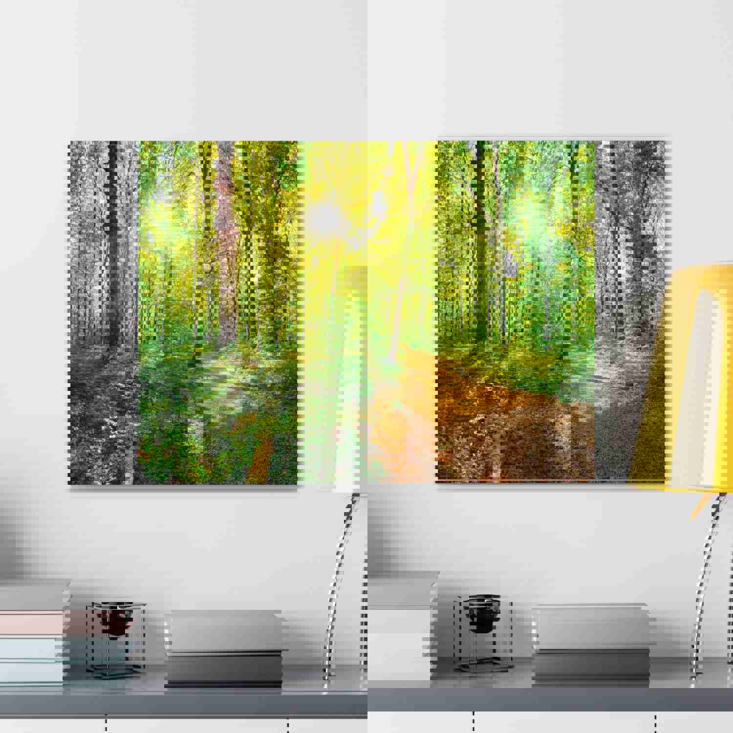 Green Forest Sunlight Nature Wilderness Photography Canvas Wall Art for Home Decor