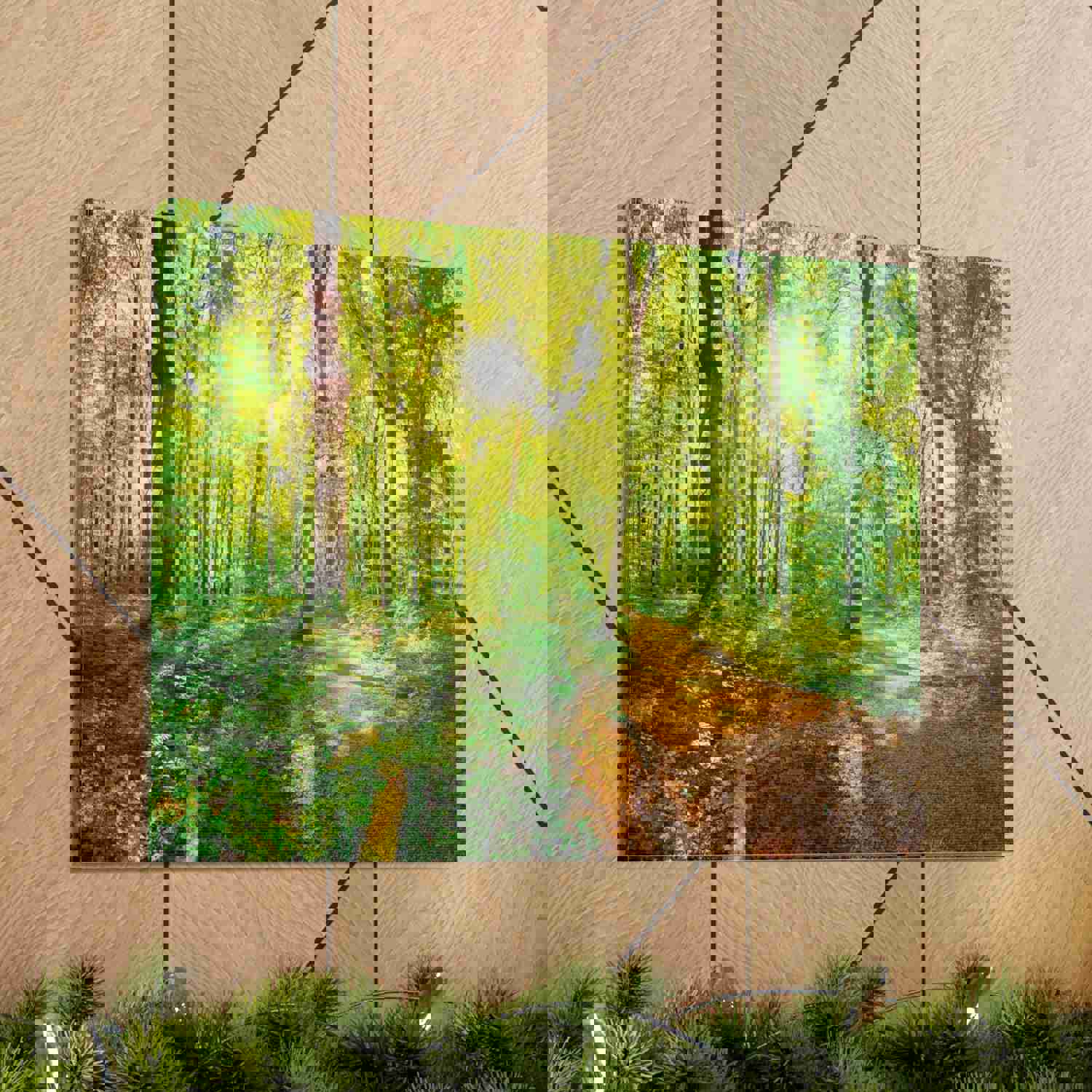 Green Forest Sunlight Nature Wilderness Photography Canvas Wall Art for Home Decor