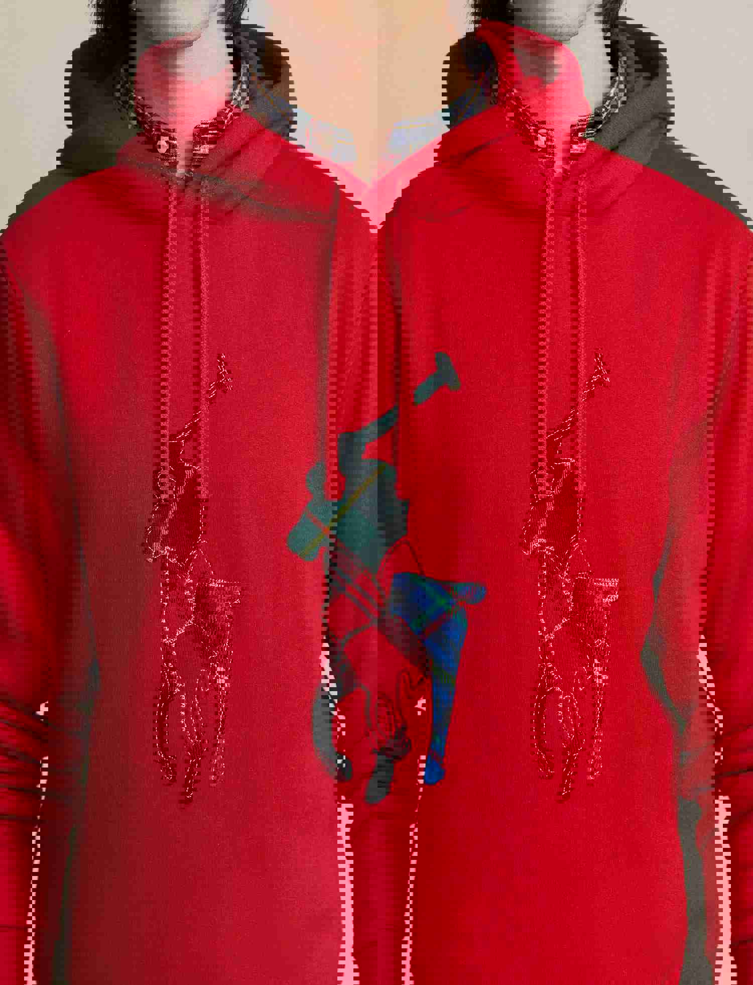 Polo Ralph Lauren Hoodie - Plaid Pony