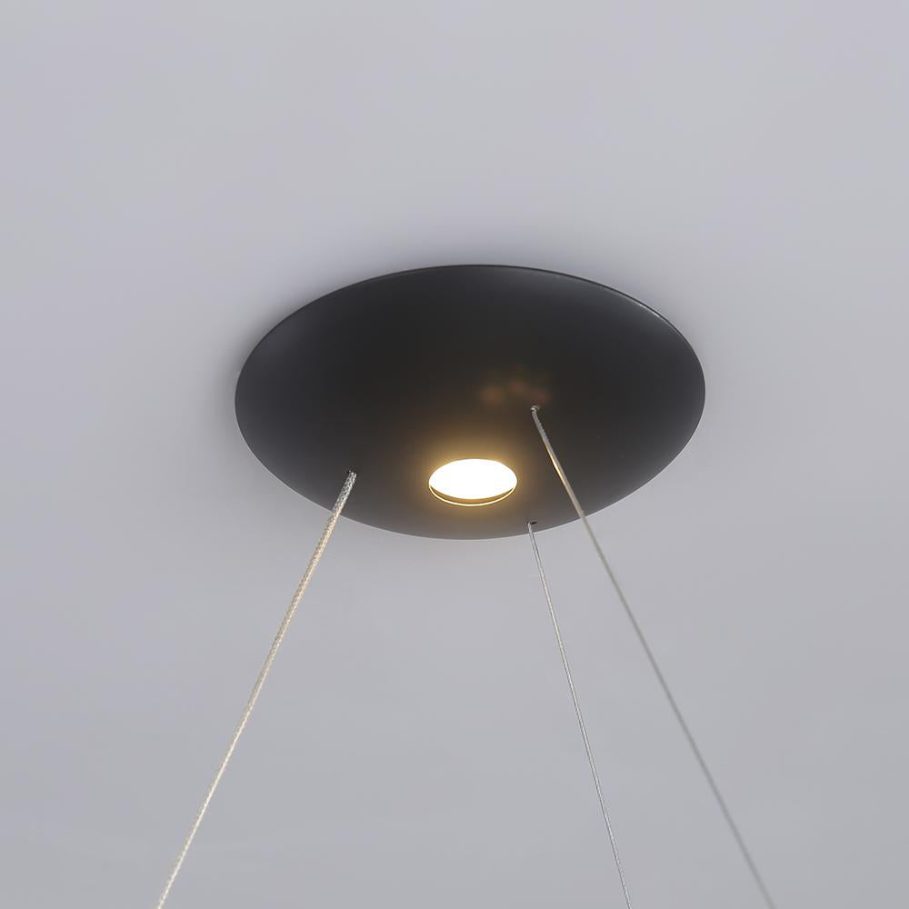 Modern Circle Chandelier LED Pendant Light in Black & Gold