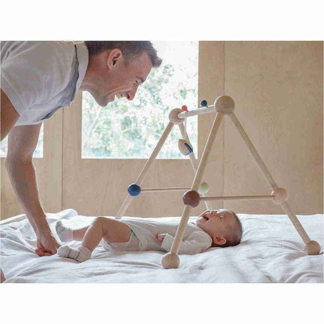 Plan Toys Play Gym - Orchard Series for Babies