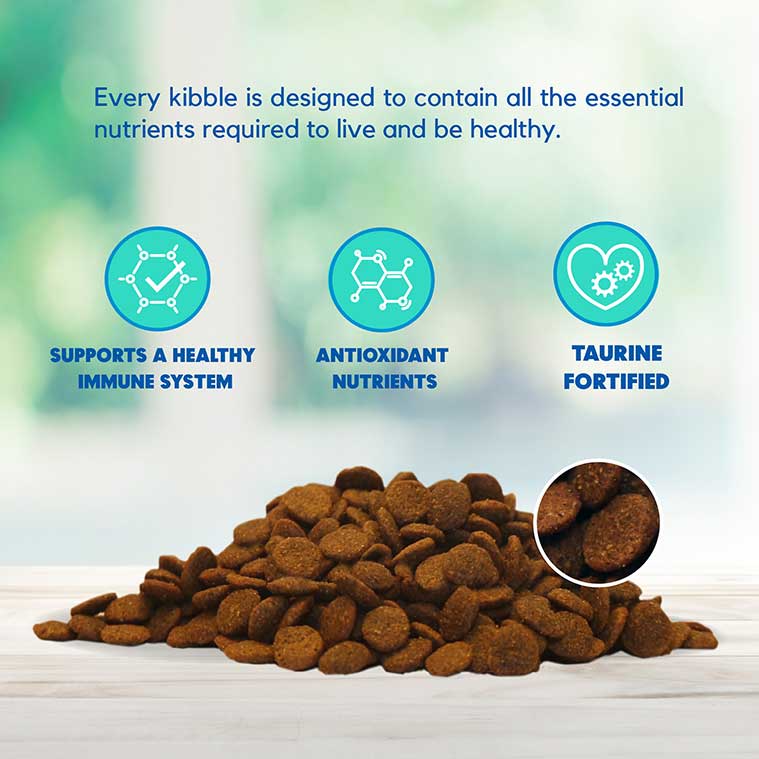 Lucy Pet Salmon, Pumpkin & Quinoa, Dry Dog Food - Grain-Free Formula for All Breeds & Life Stages