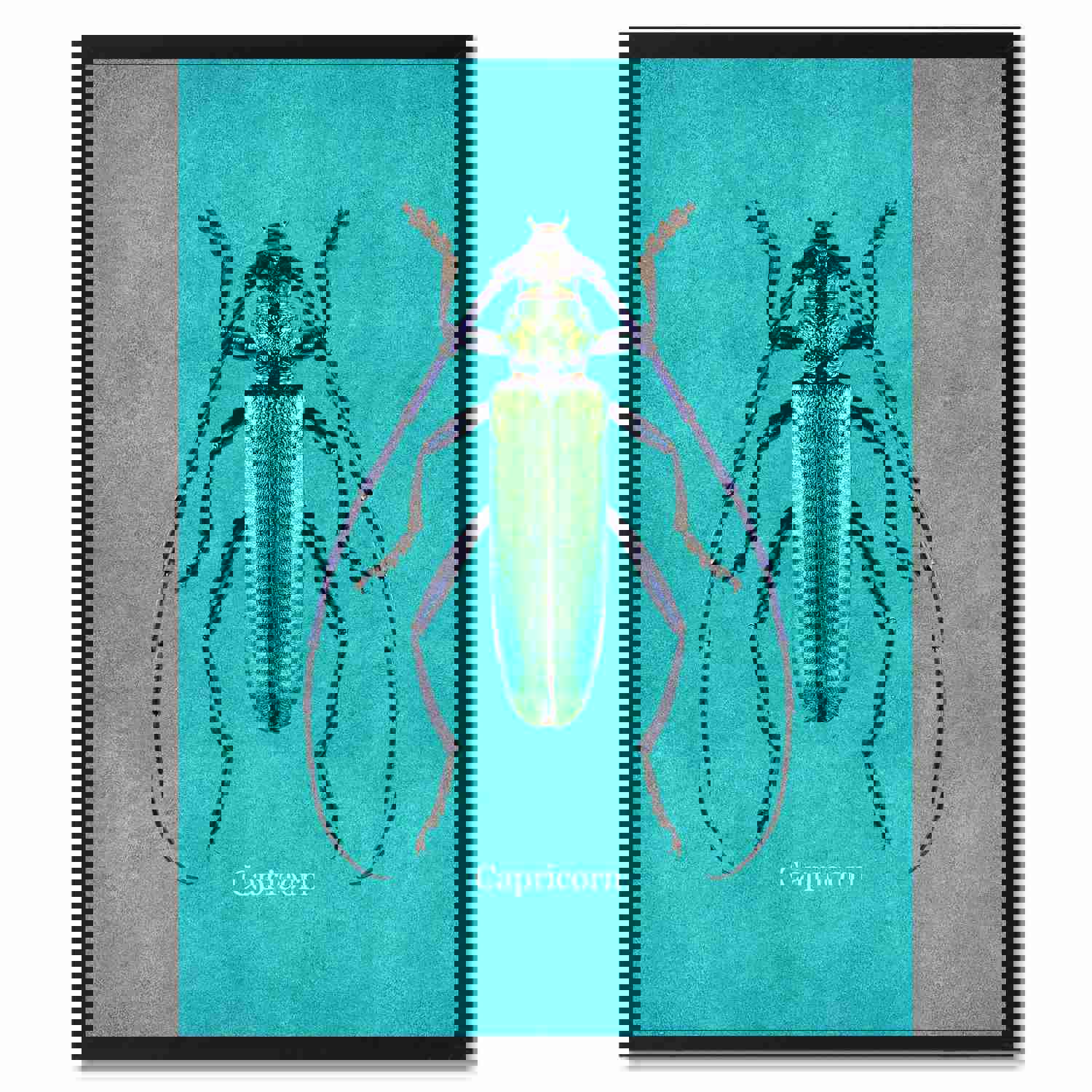 Capricorn Aqua Canvas Print - Custom Picture Frames for Home and Office Decor