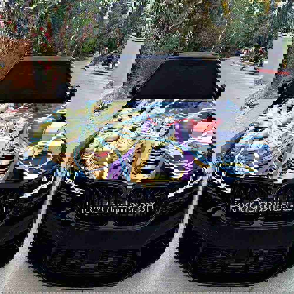 Overlord Itasha Car Vinyl Hood Wrap Decal Sticker