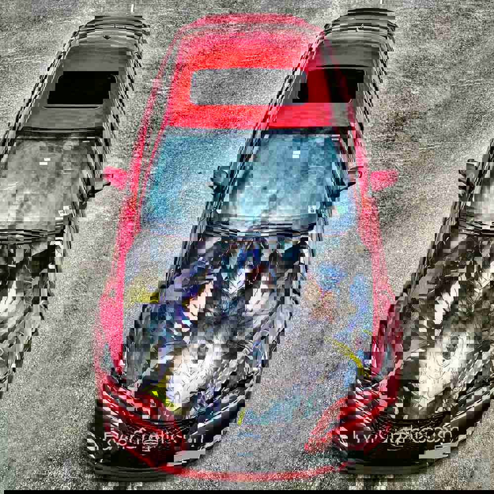 Overlord Itasha Car Vinyl Hood Wrap Decal Sticker