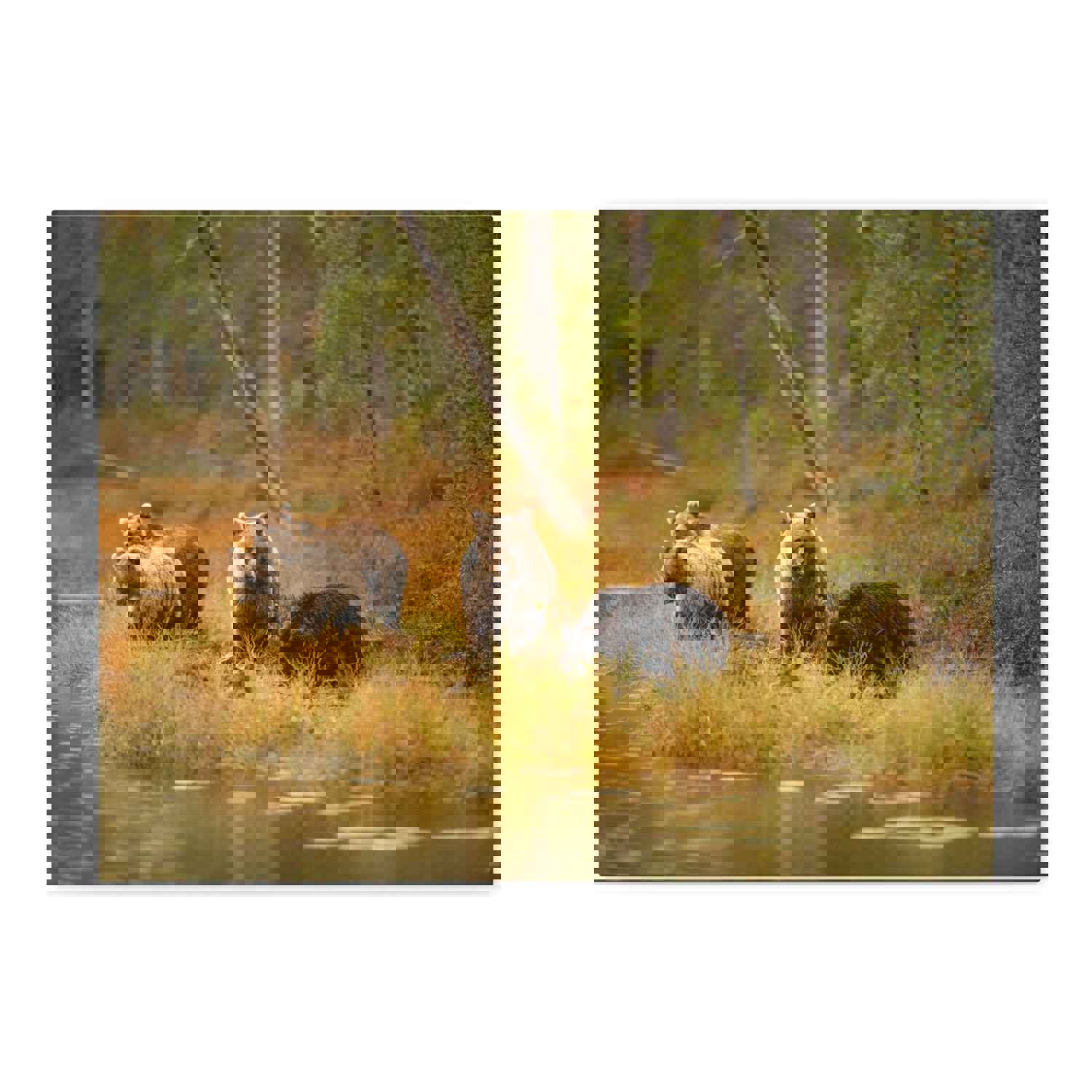 Bears In Spring Forest Nature Wilderness Photography Canvas Wall Art for Home Decor