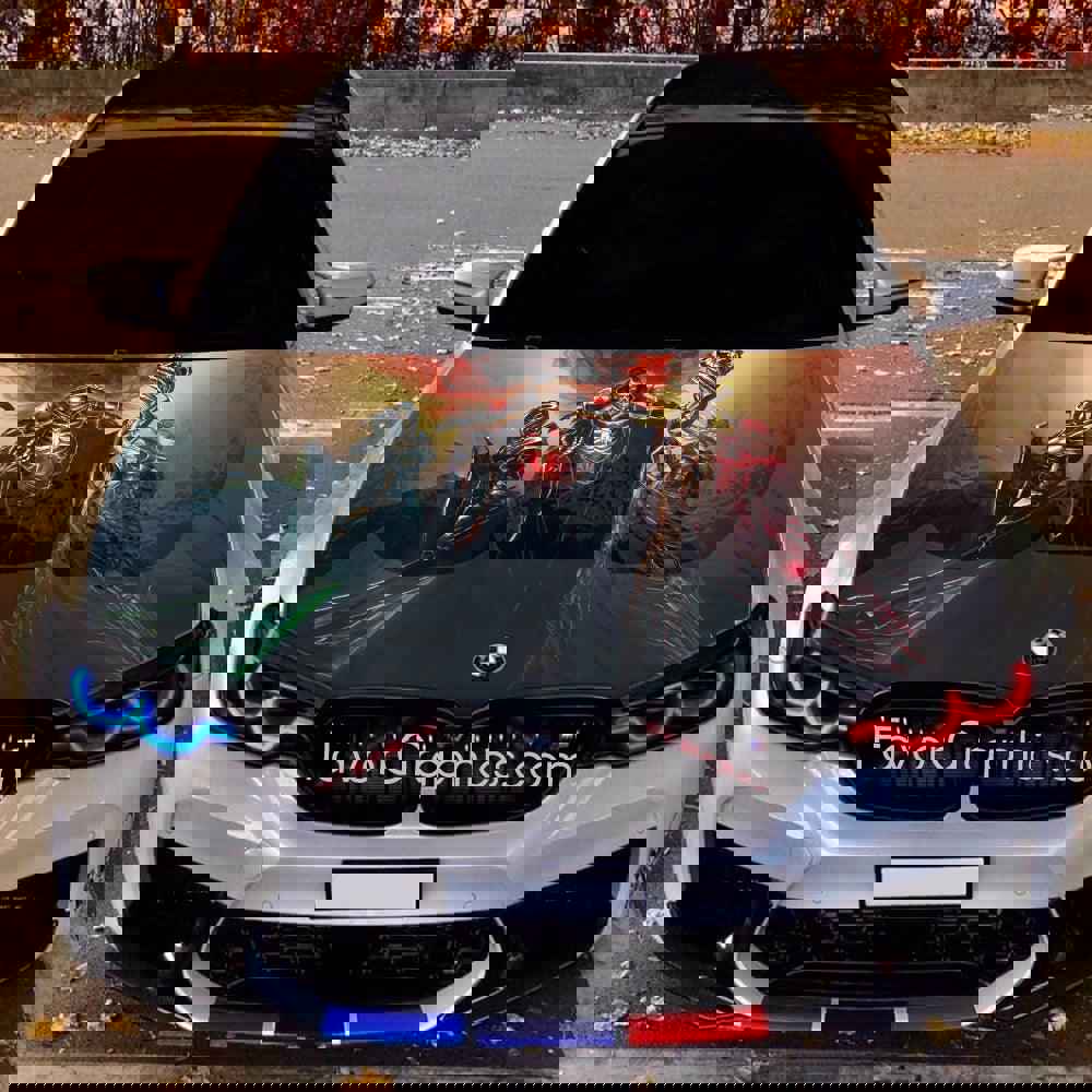 Overlord Itasha Car Vinyl Hood Wrap Decal Sticker