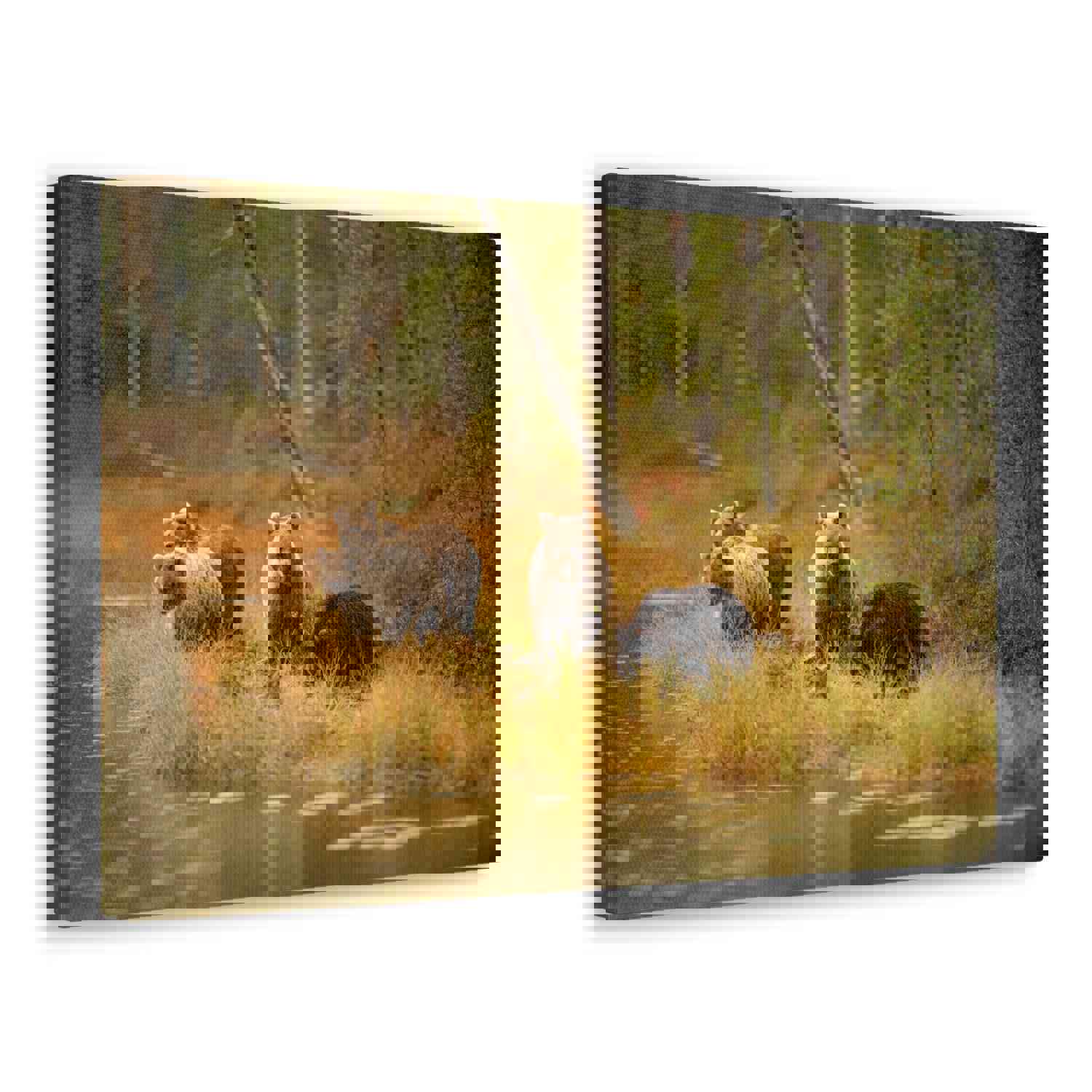 Bears In Spring Forest Nature Wilderness Photography Canvas Wall Art for Home Decor