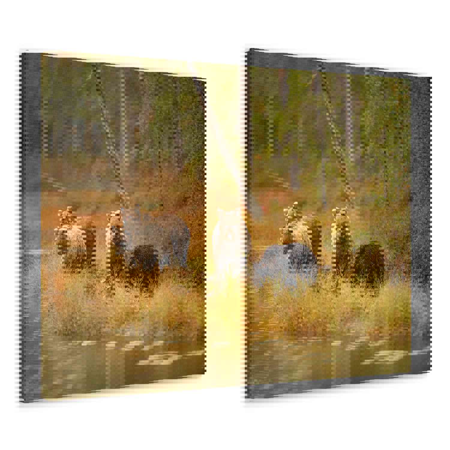 Bears In Spring Forest Nature Wilderness Photography Canvas Wall Art for Home Decor