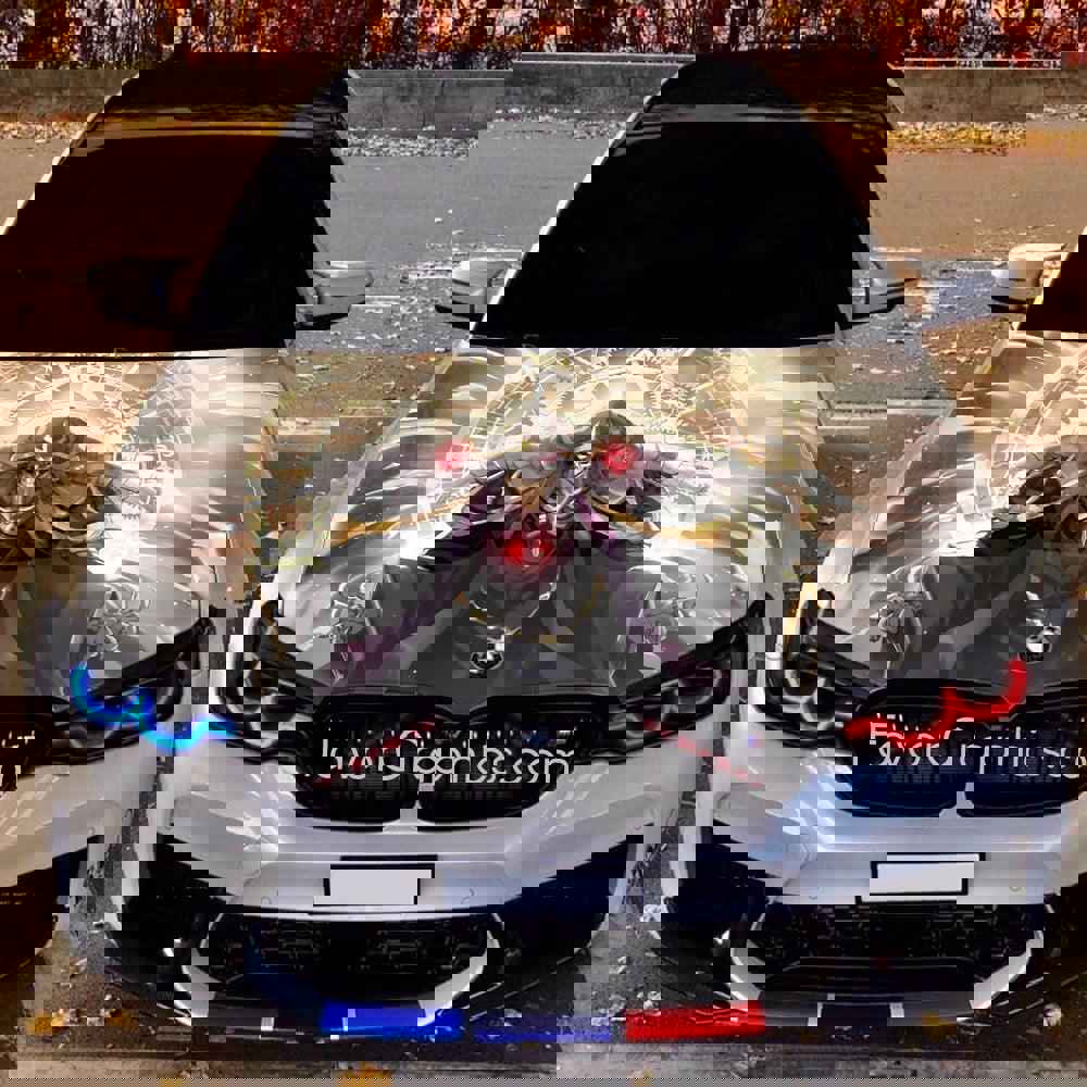 Overlord Itasha Car Vinyl Hood Wrap Decal Sticker