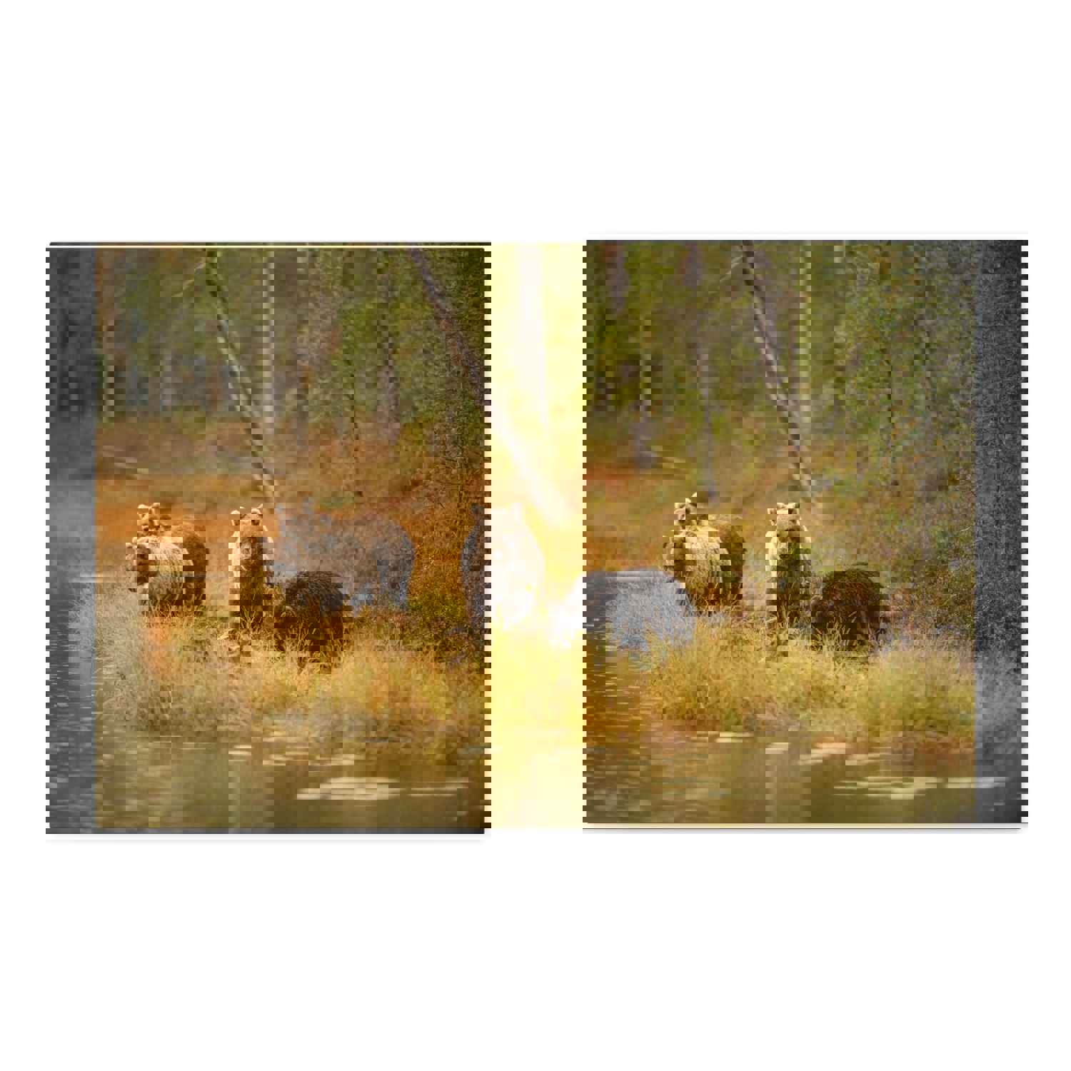 Bears In Spring Forest Nature Wilderness Photography Canvas Wall Art for Home Decor